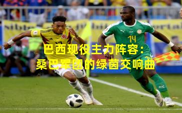 巴西现役主力阵容：桑巴军团的绿茵交响曲