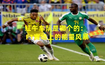 红牛车队是哪个的：F1赛场上的能量风暴
