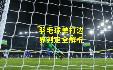 羽毛球单打边界判定全解析