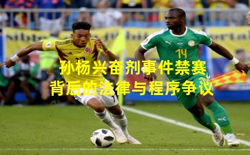 孙杨兴奋剂事件禁赛背后的法律与程序争议