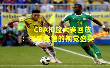 CBA扣篮大赛回放:飞跃篮筐的视觉盛宴