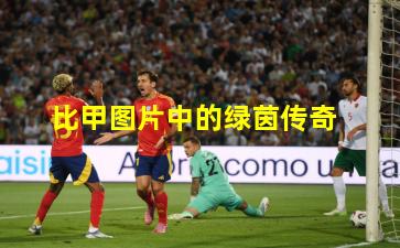 比甲图片中的绿茵传奇